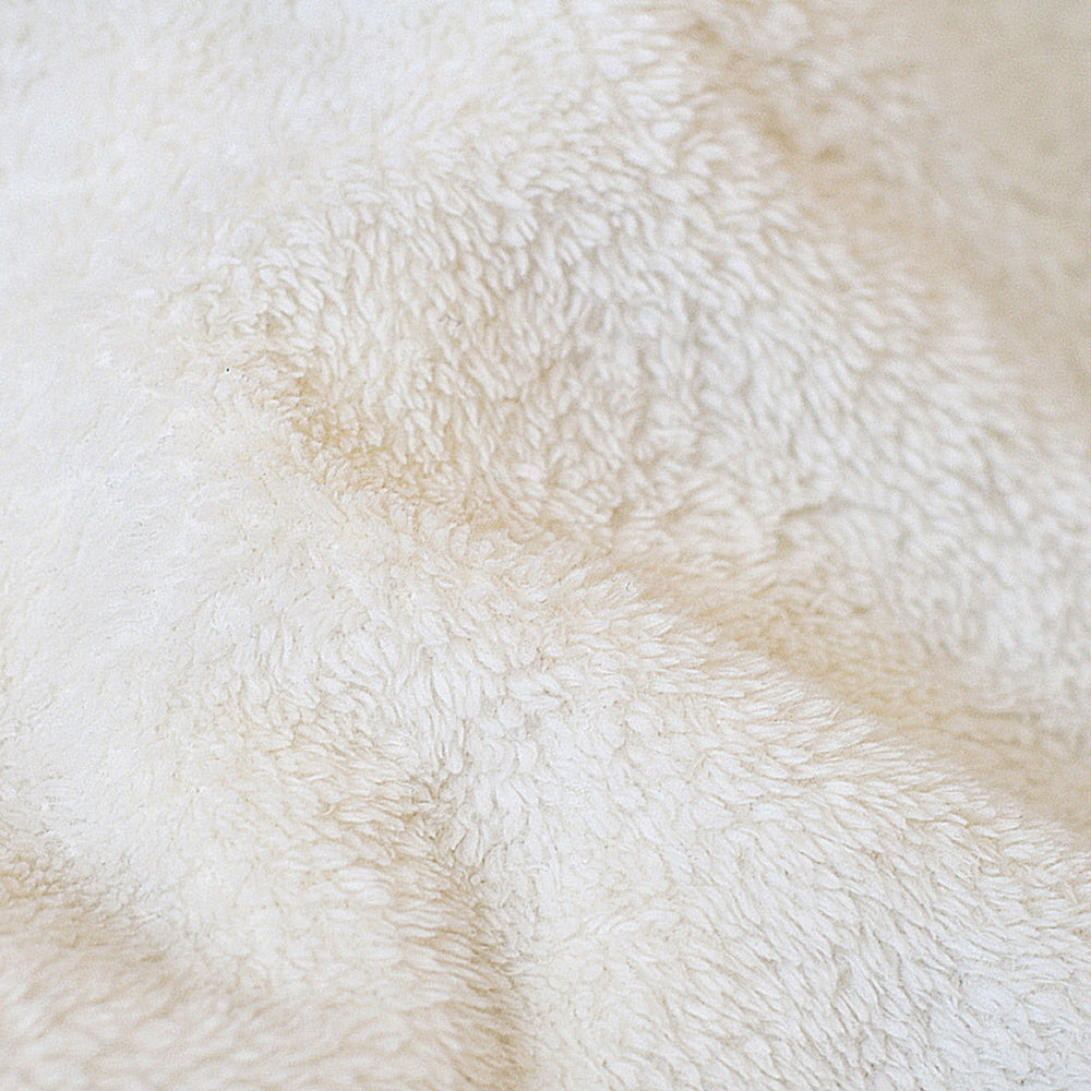 Inclusion Needs No Words English - Blanket